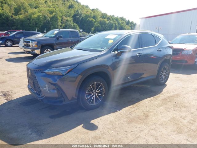 Photo 1 VIN: 2T2GGCEZ5NC006338 - LEXUS NX 