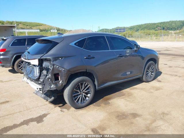 Photo 3 VIN: 2T2GGCEZ5NC006338 - LEXUS NX 