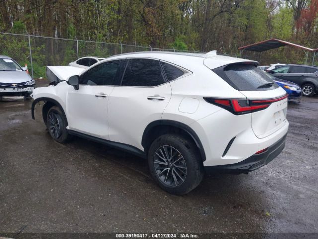 Photo 2 VIN: 2T2GGCEZ5NC007621 - LEXUS NX 350 