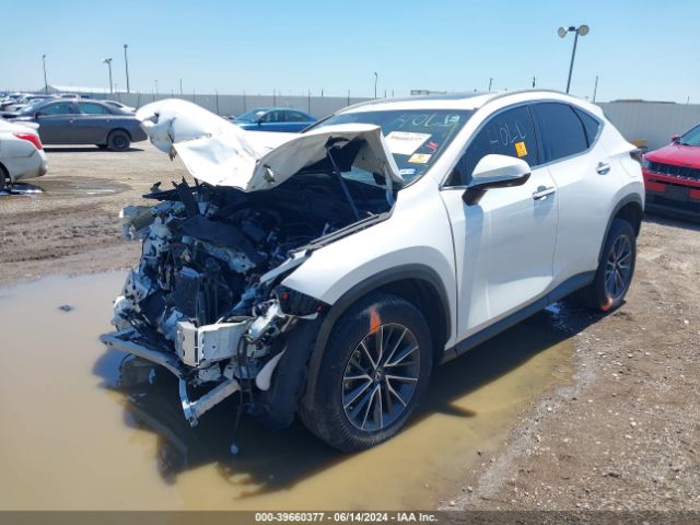 Photo 1 VIN: 2T2GGCEZ6NC009667 - LEXUS NX 350 