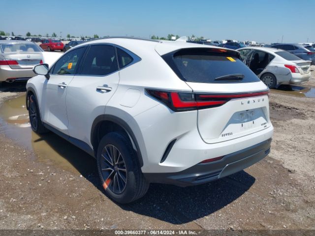 Photo 2 VIN: 2T2GGCEZ6NC009667 - LEXUS NX 350 