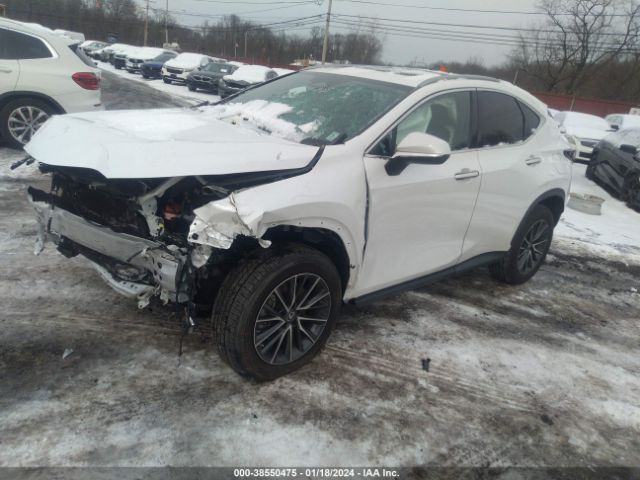 Photo 1 VIN: 2T2GGCEZ7NC005210 - LEXUS NX 350 