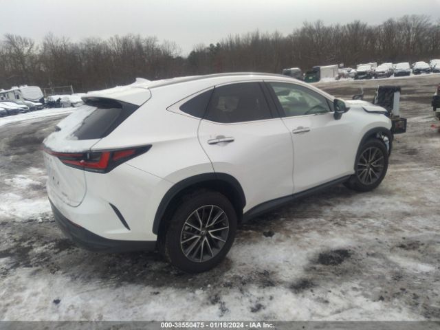 Photo 3 VIN: 2T2GGCEZ7NC005210 - LEXUS NX 350 