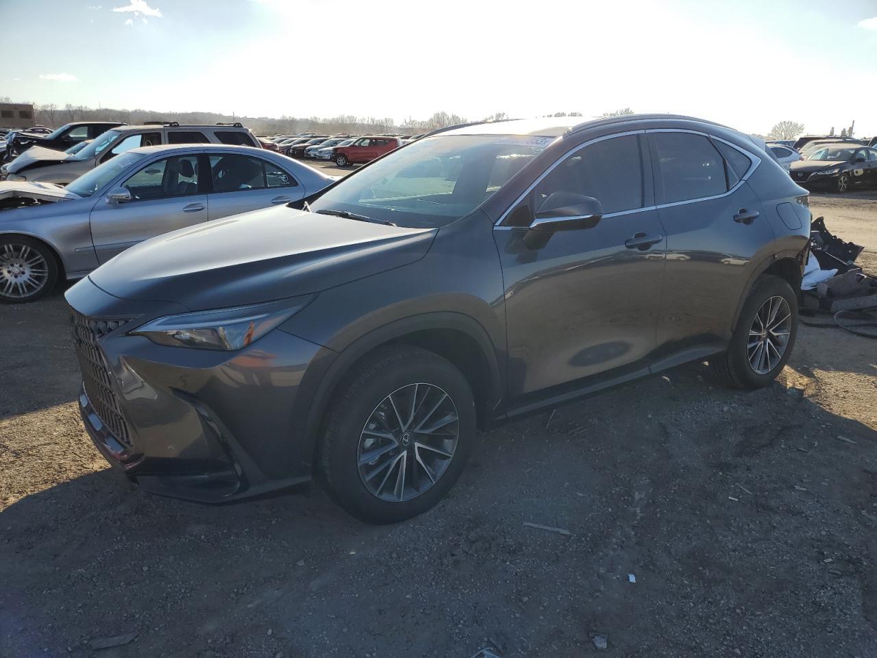 Photo 0 VIN: 2T2GGCEZ8NC009055 - LEXUS NX 