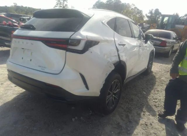 Photo 3 VIN: 2T2GGCEZ9NC009761 - LEXUS NX 