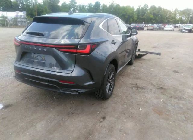 Photo 3 VIN: 2T2GGCEZ9NC012692 - LEXUS NX 