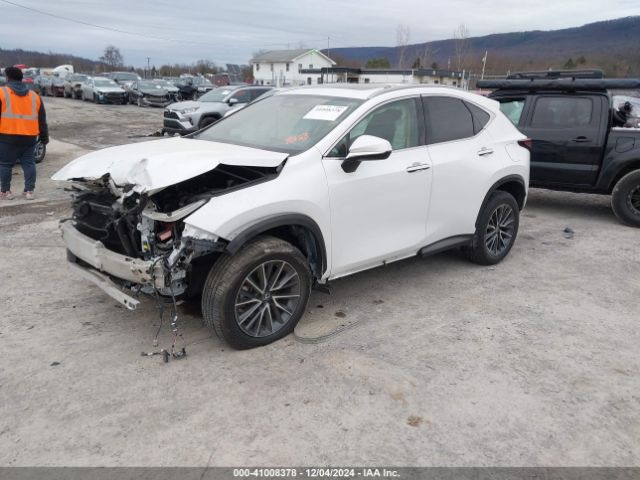 Photo 1 VIN: 2T2GGCEZ9RC049053 - LEXUS NX 