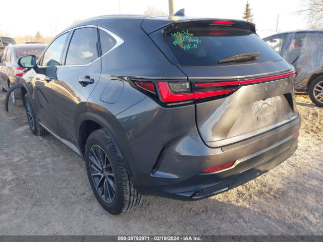 Photo 2 VIN: 2T2GGCEZXPC020979 - LEXUS NX 350 