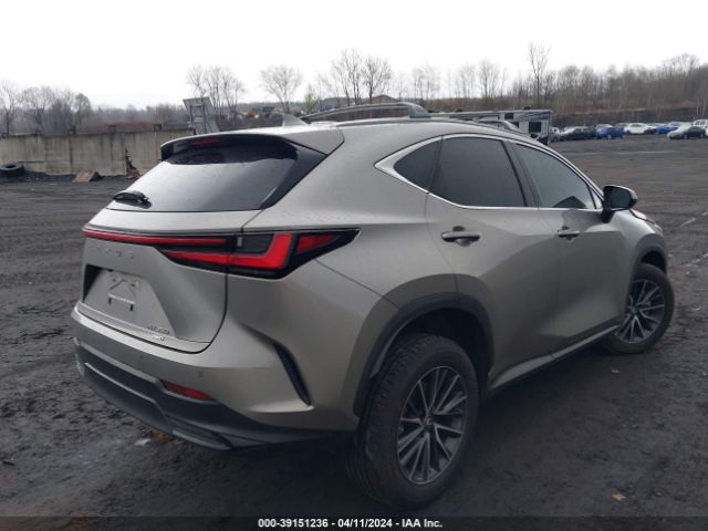 Photo 3 VIN: 2T2GGCEZXPC029777 - LEXUS NX 350 