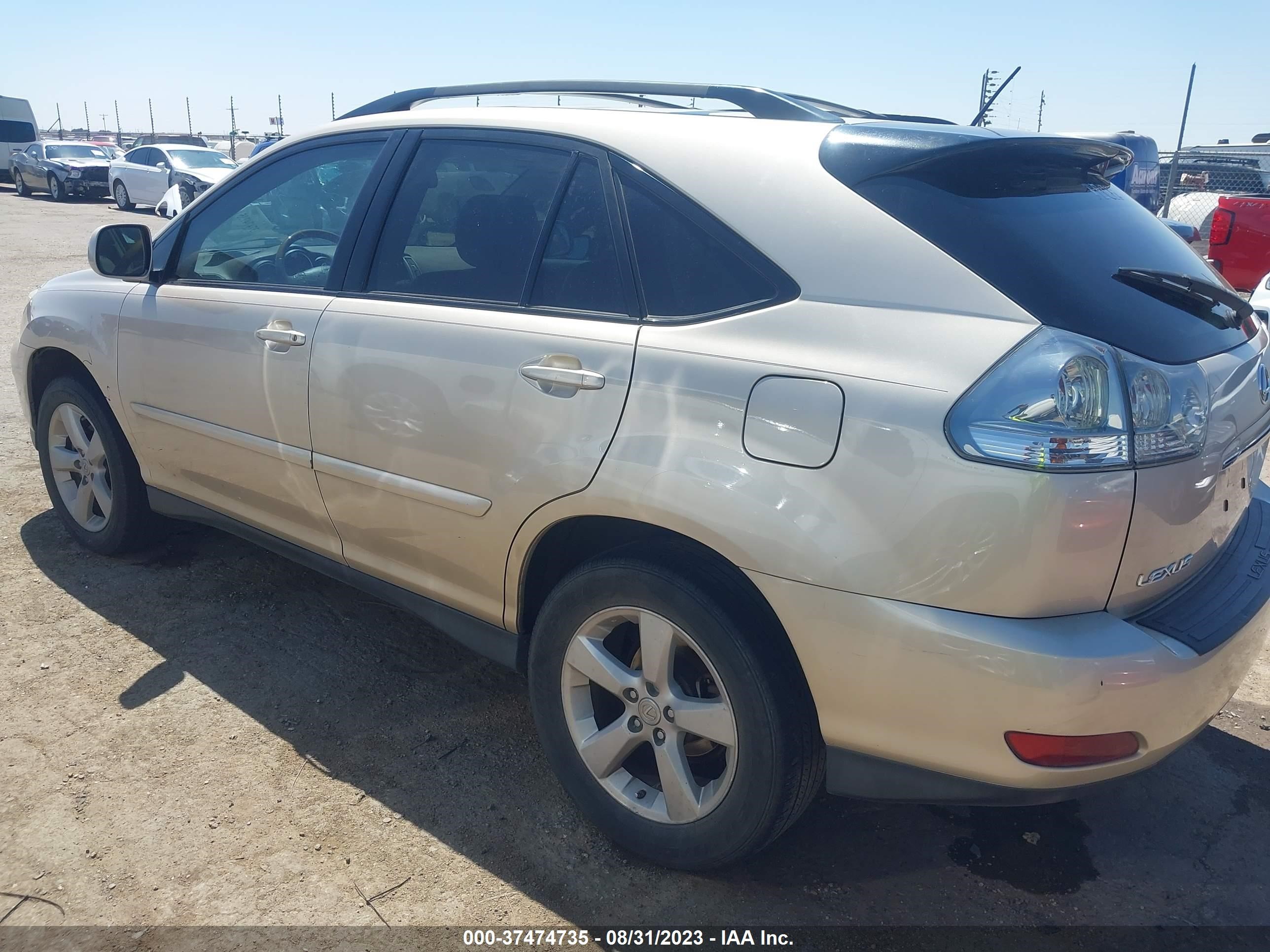 Photo 13 VIN: 2T2GK31U07C022796 - LEXUS RX 