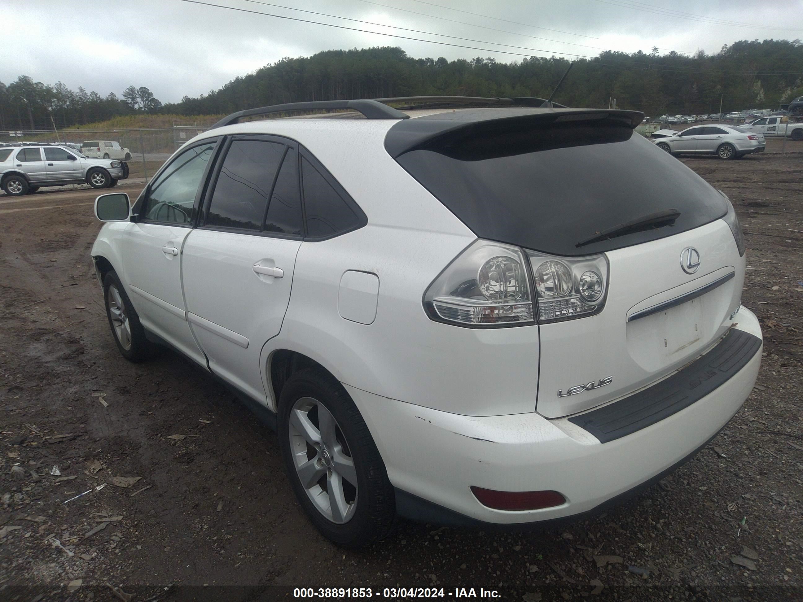 Photo 11 VIN: 2T2GK31U27C020371 - LEXUS RX 