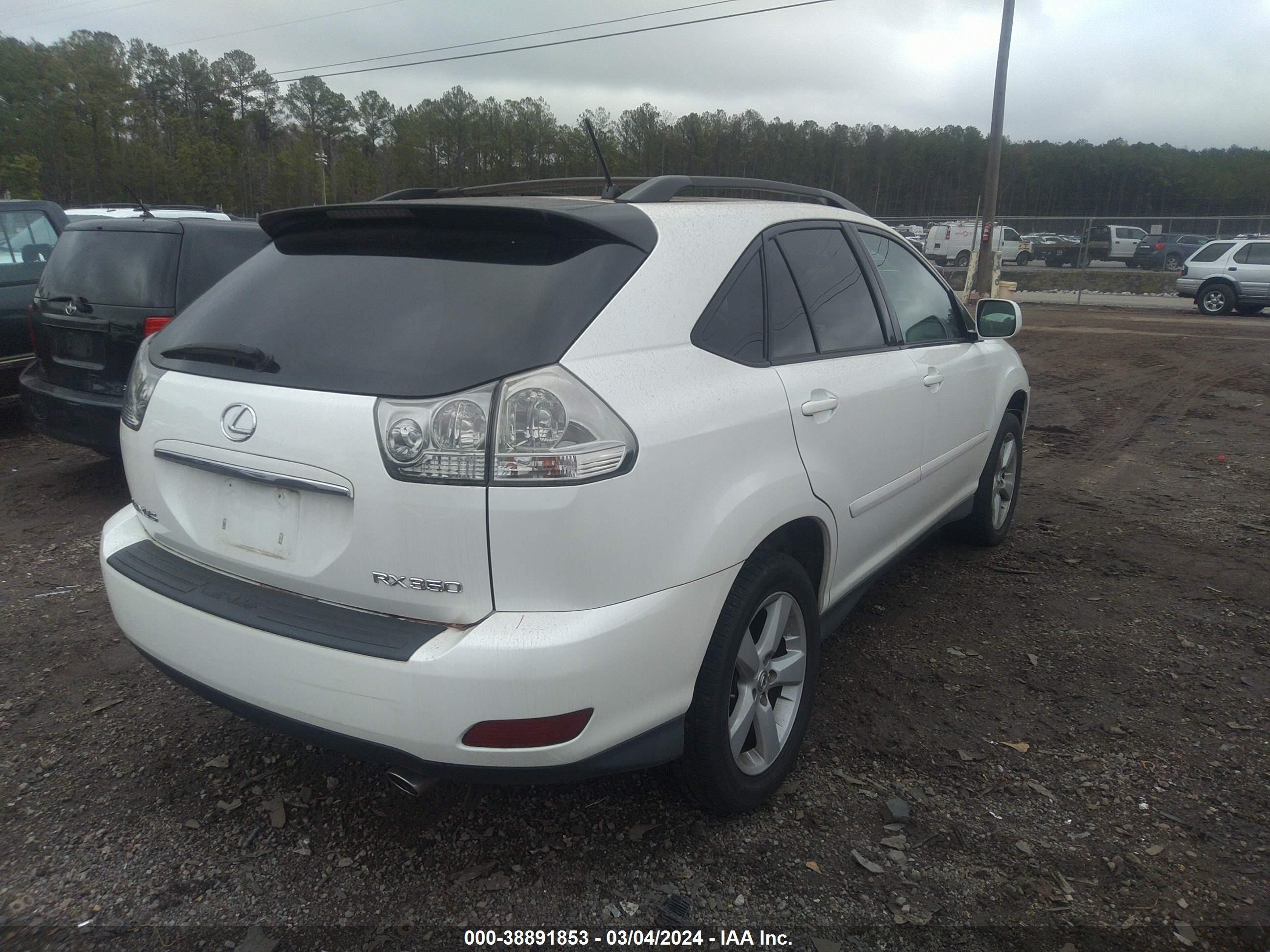 Photo 13 VIN: 2T2GK31U27C020371 - LEXUS RX 