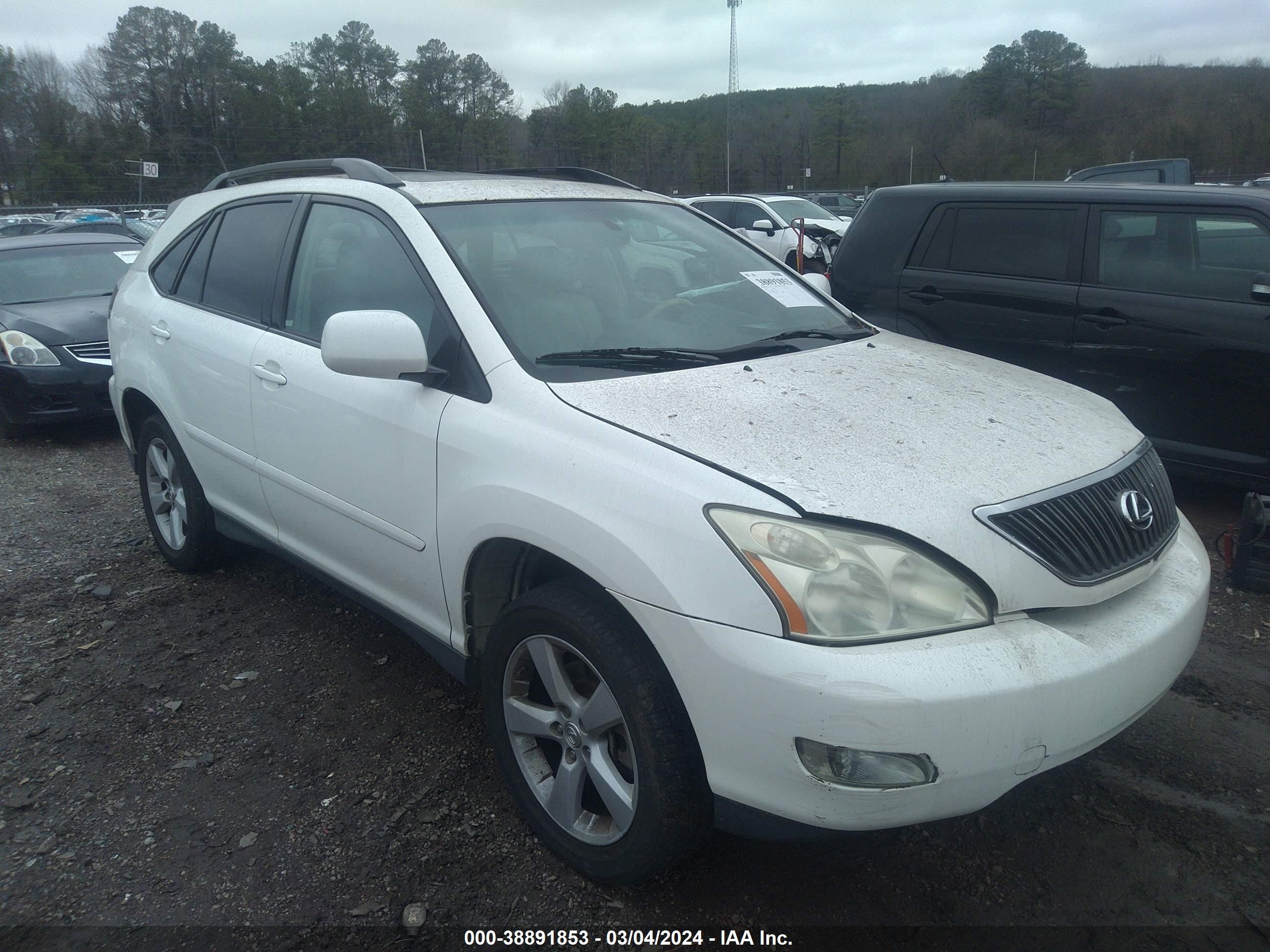 Photo 14 VIN: 2T2GK31U27C020371 - LEXUS RX 