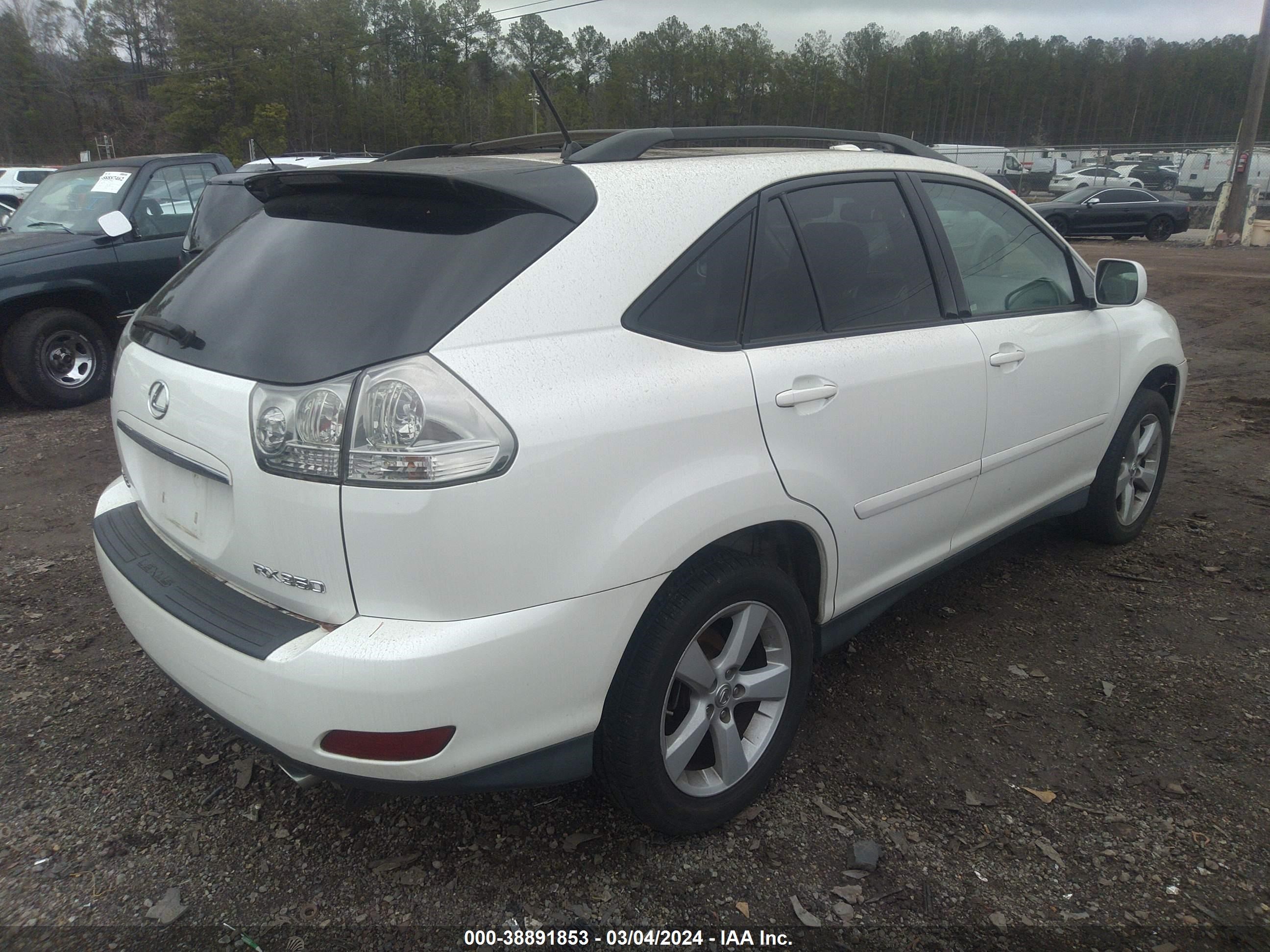 Photo 3 VIN: 2T2GK31U27C020371 - LEXUS RX 