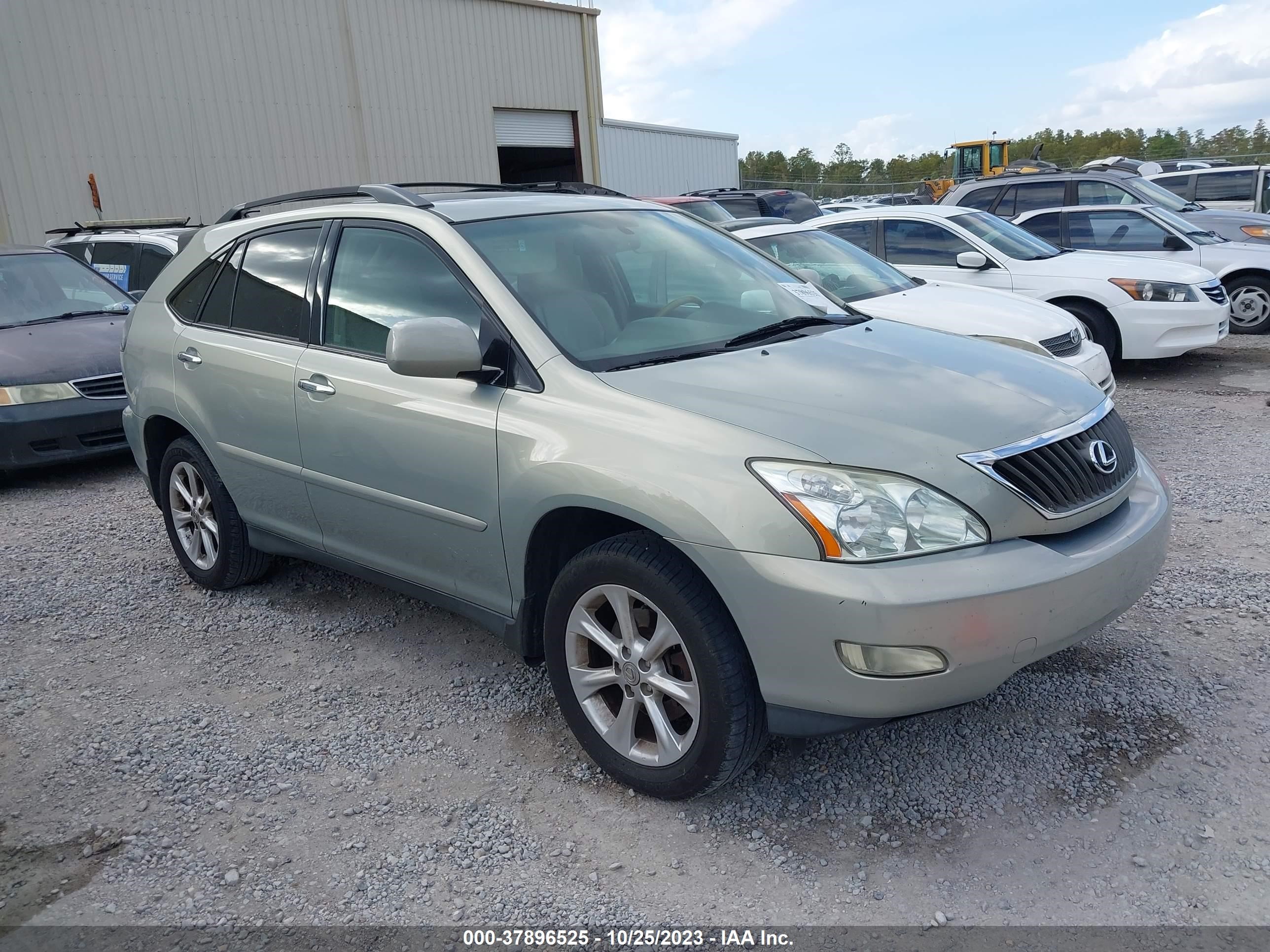 Photo 0 VIN: 2T2GK31U29C075759 - LEXUS RX 