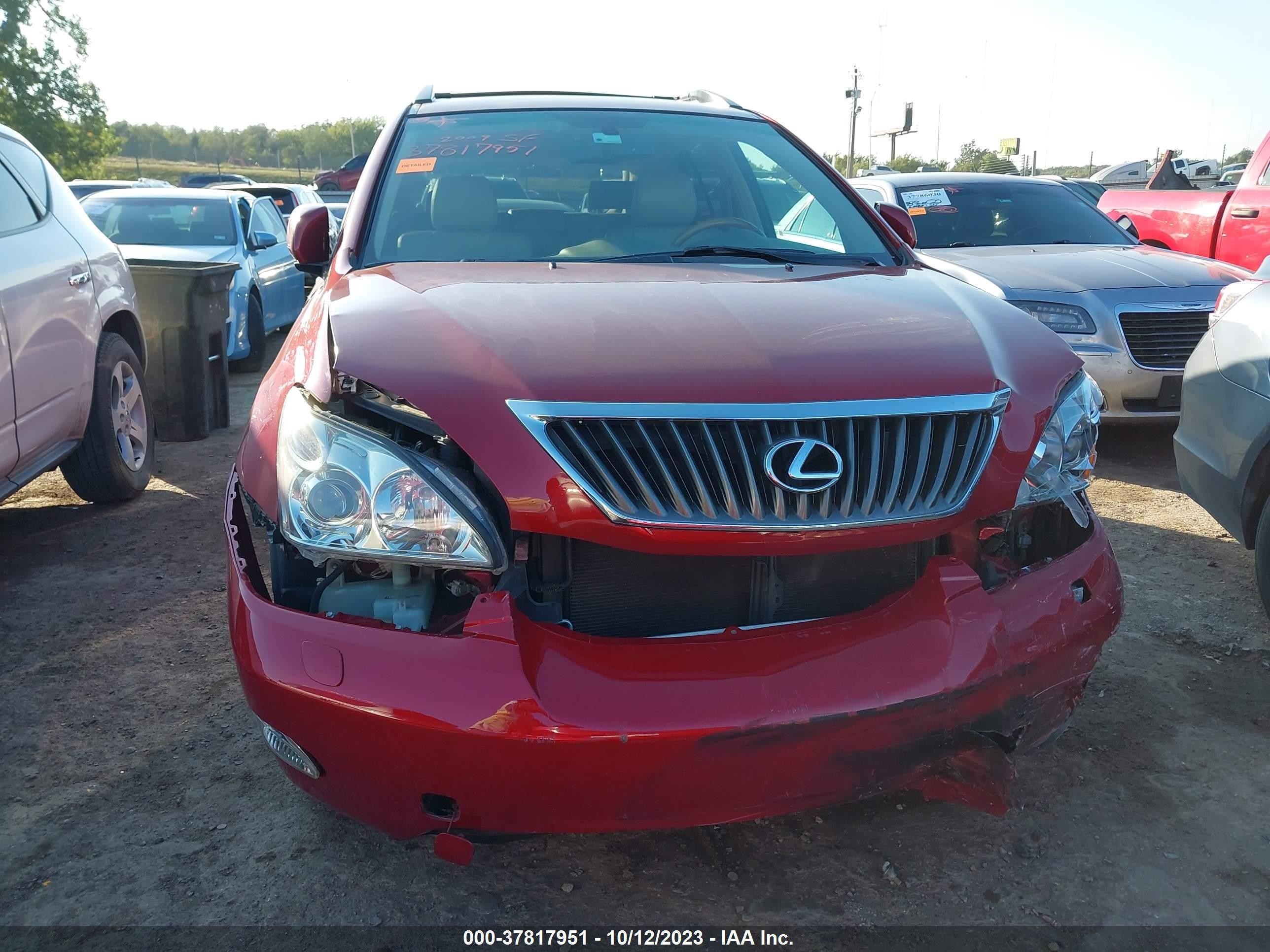 Photo 11 VIN: 2T2GK31U69C060312 - LEXUS RX 