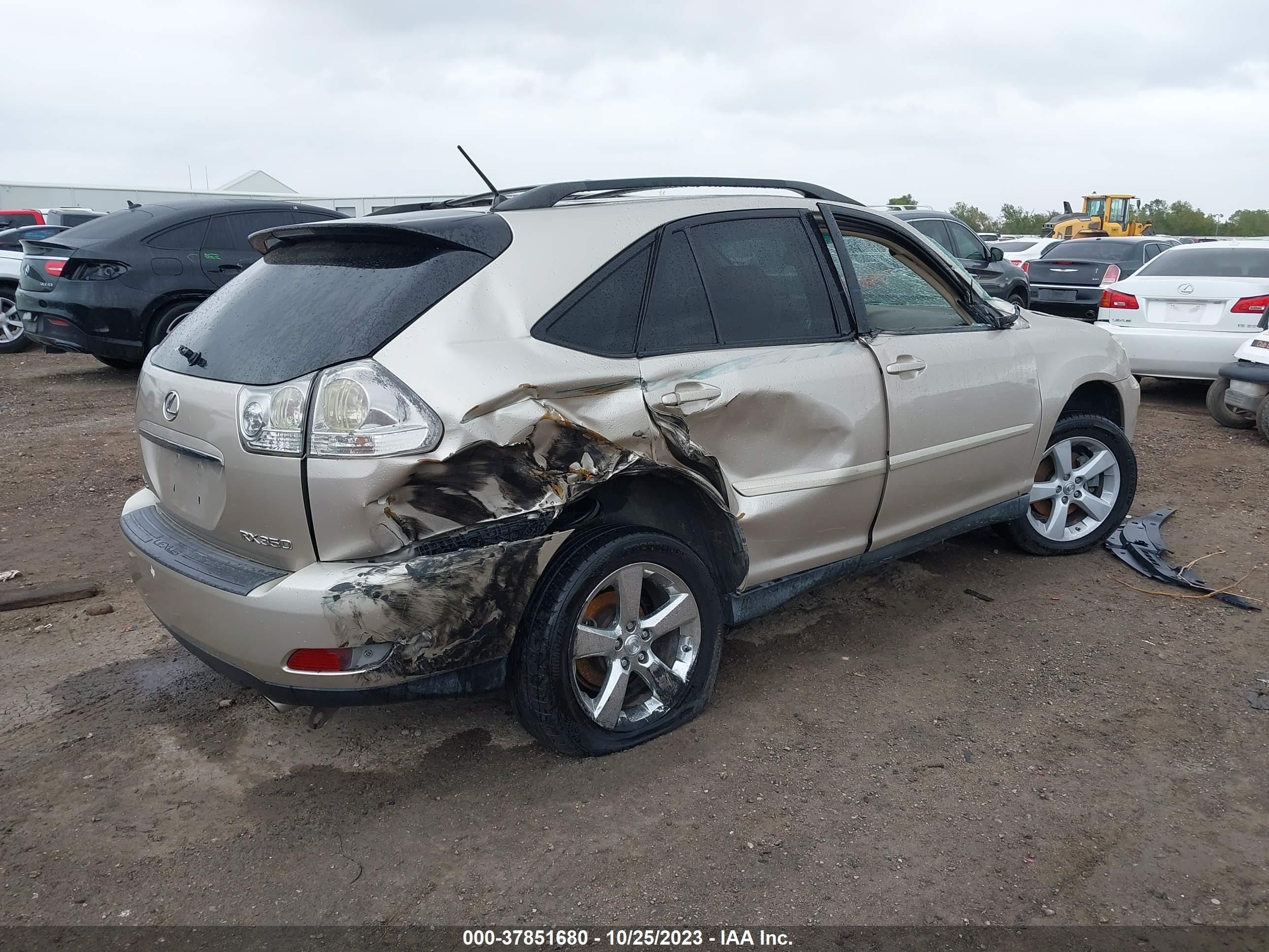 Photo 3 VIN: 2T2GK31U77C009446 - LEXUS RX 