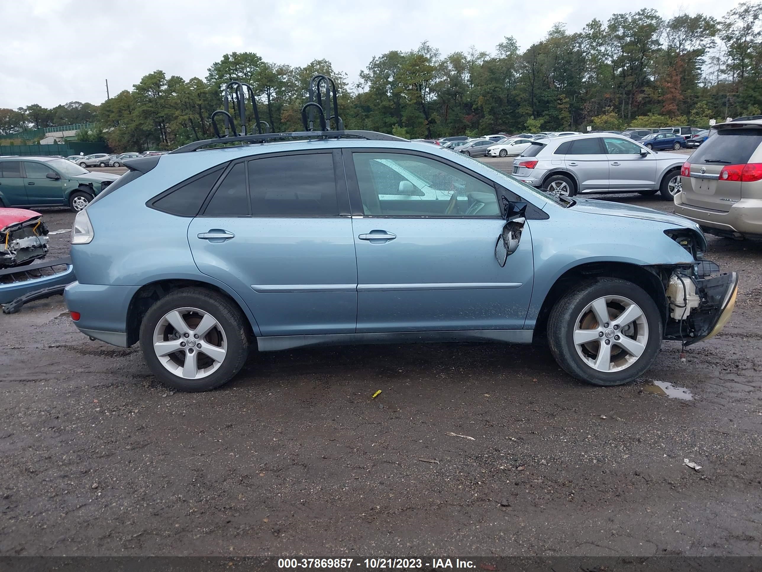 Photo 13 VIN: 2T2GK31U87C011349 - LEXUS RX 