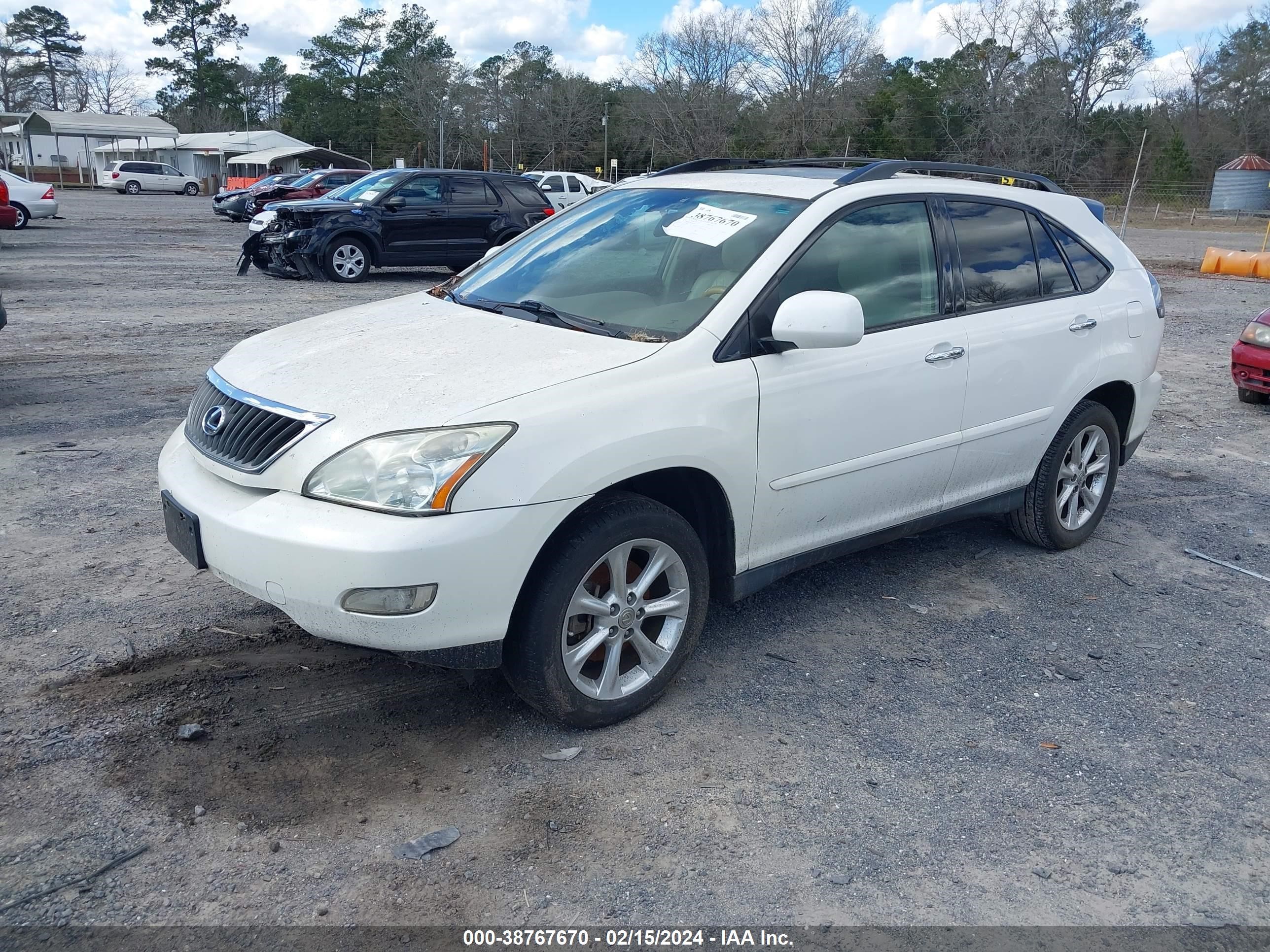 Photo 1 VIN: 2T2GK31U89C064278 - LEXUS RX 