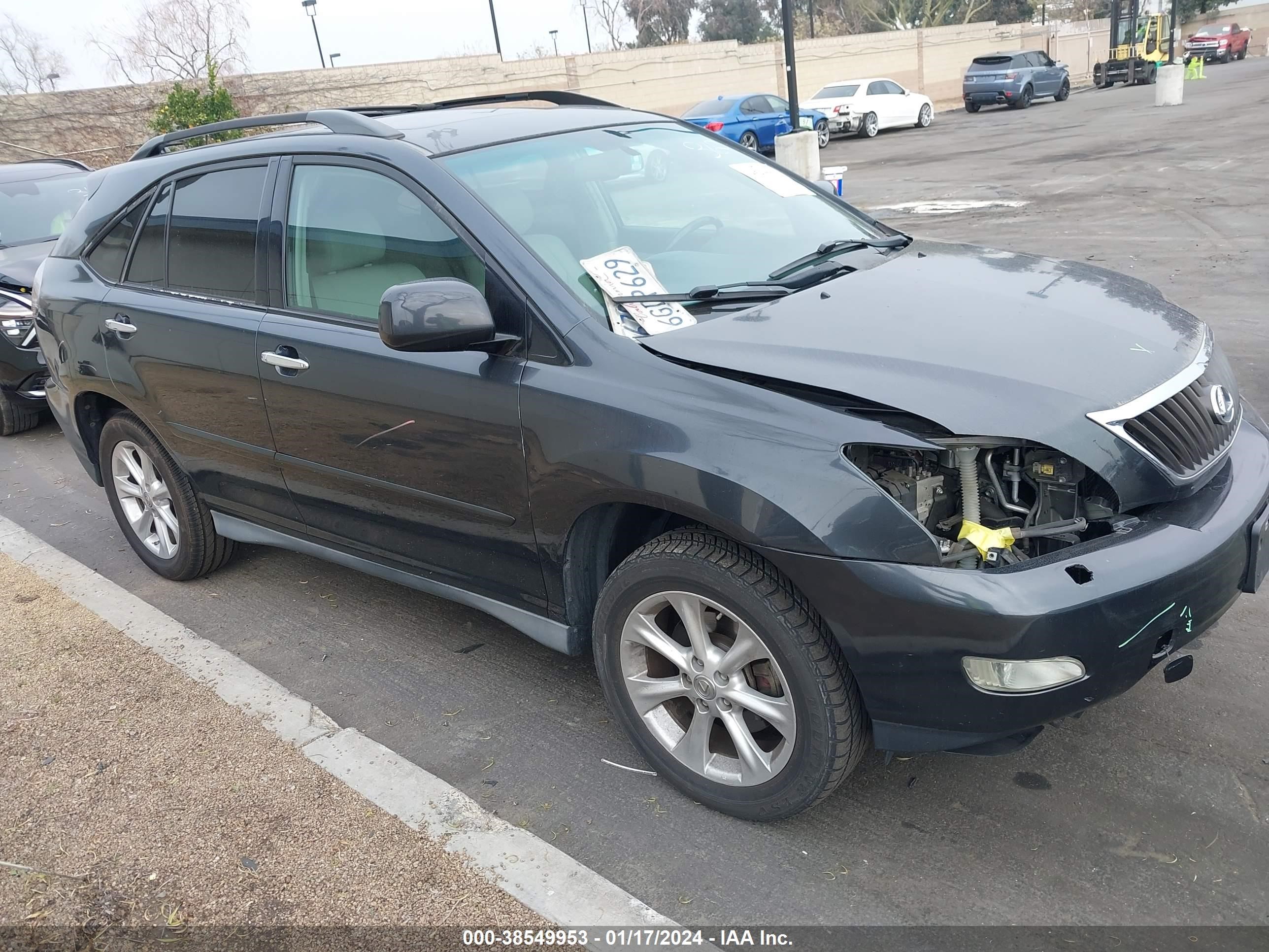 Photo 12 VIN: 2T2GK31UX9C078568 - LEXUS RX 