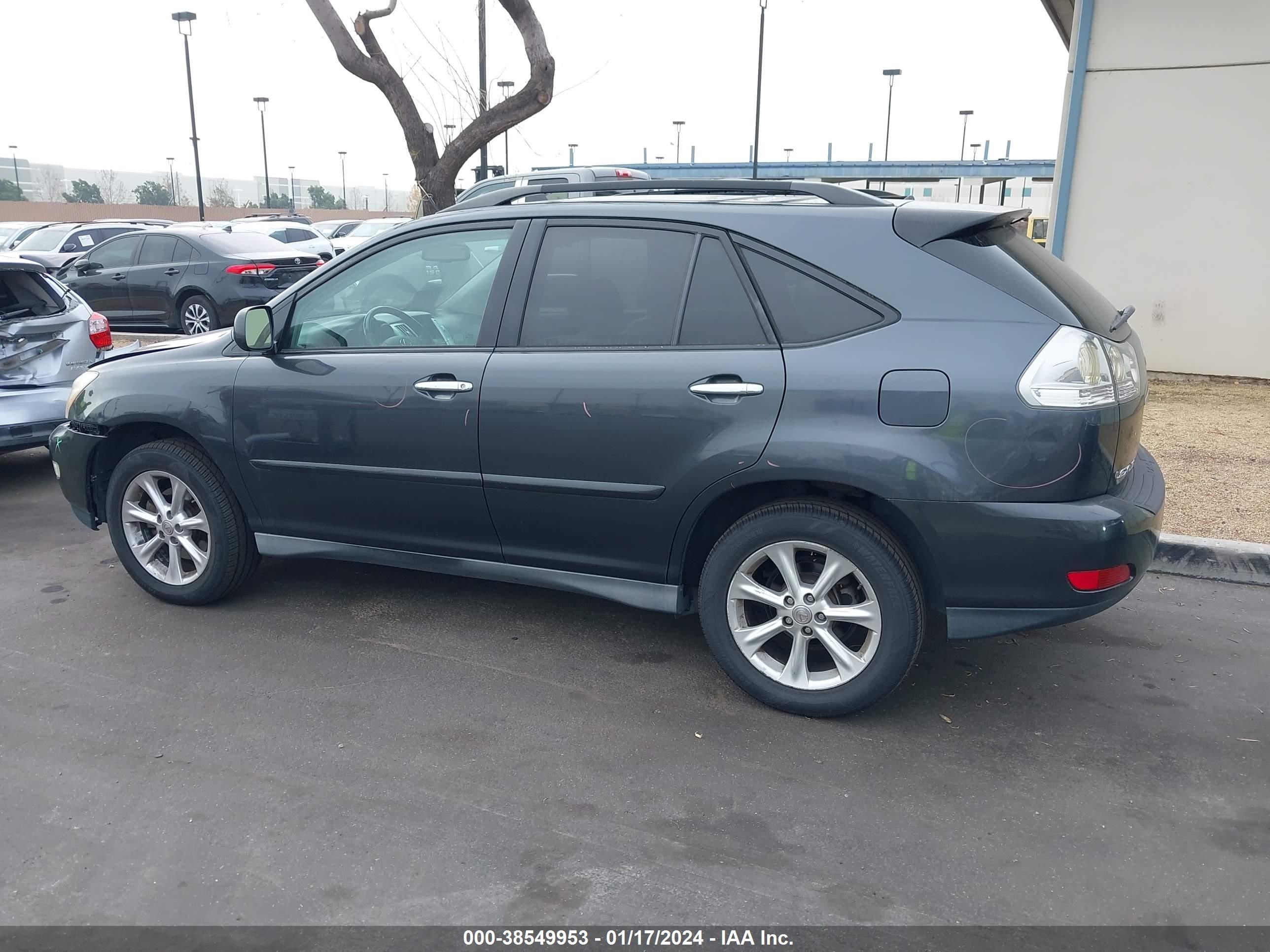 Photo 13 VIN: 2T2GK31UX9C078568 - LEXUS RX 