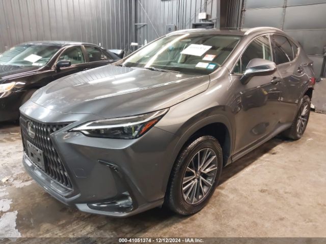 Photo 1 VIN: 2T2GKCEZ1PC013093 - LEXUS NX 