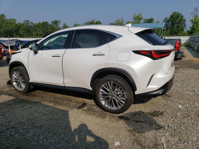 Photo 1 VIN: 2T2GKCEZ3NC008815 - LEXUS NX 350H 