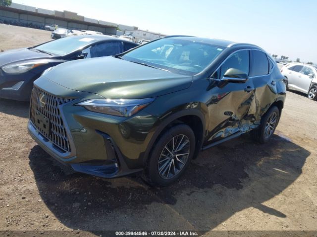 Photo 1 VIN: 2T2GKCEZ3RC017536 - LEXUS NX 