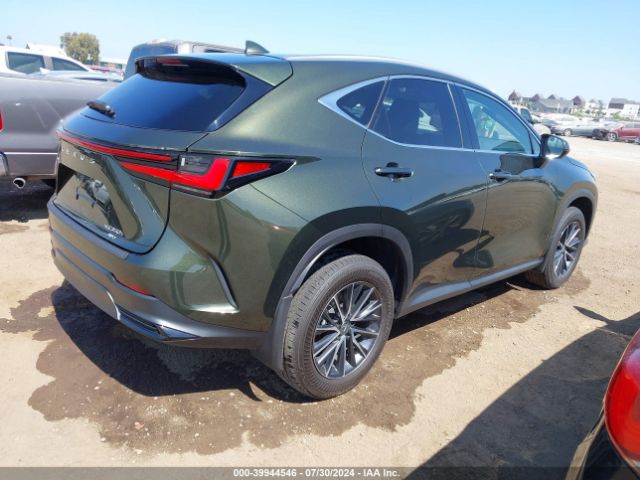 Photo 3 VIN: 2T2GKCEZ3RC017536 - LEXUS NX 