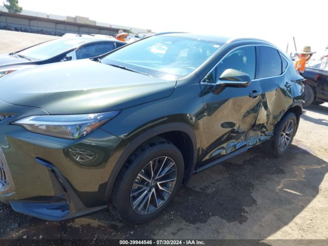 Photo 5 VIN: 2T2GKCEZ3RC017536 - LEXUS NX 