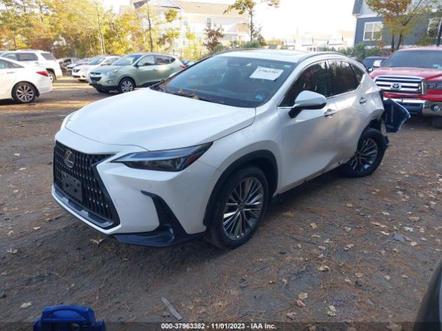 Photo 1 VIN: 2T2GKCEZ5PC010813 - LEXUS NX 