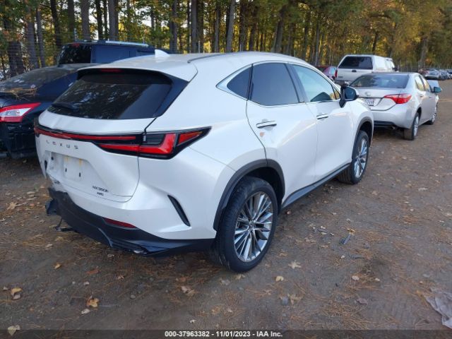 Photo 3 VIN: 2T2GKCEZ5PC010813 - LEXUS NX 