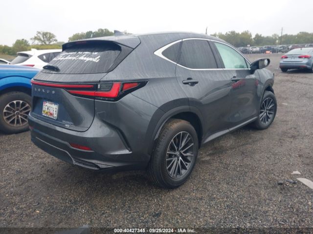 Photo 3 VIN: 2T2GKCEZ6RC023850 - LEXUS NX 