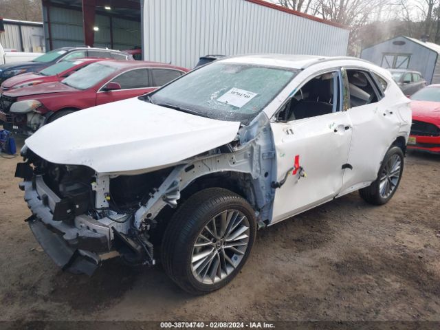 Photo 1 VIN: 2T2GKCEZ8NC004579 - LEXUS NX 350H 