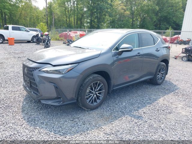 Photo 1 VIN: 2T2GKCEZ9PC012595 - LEXUS NX 