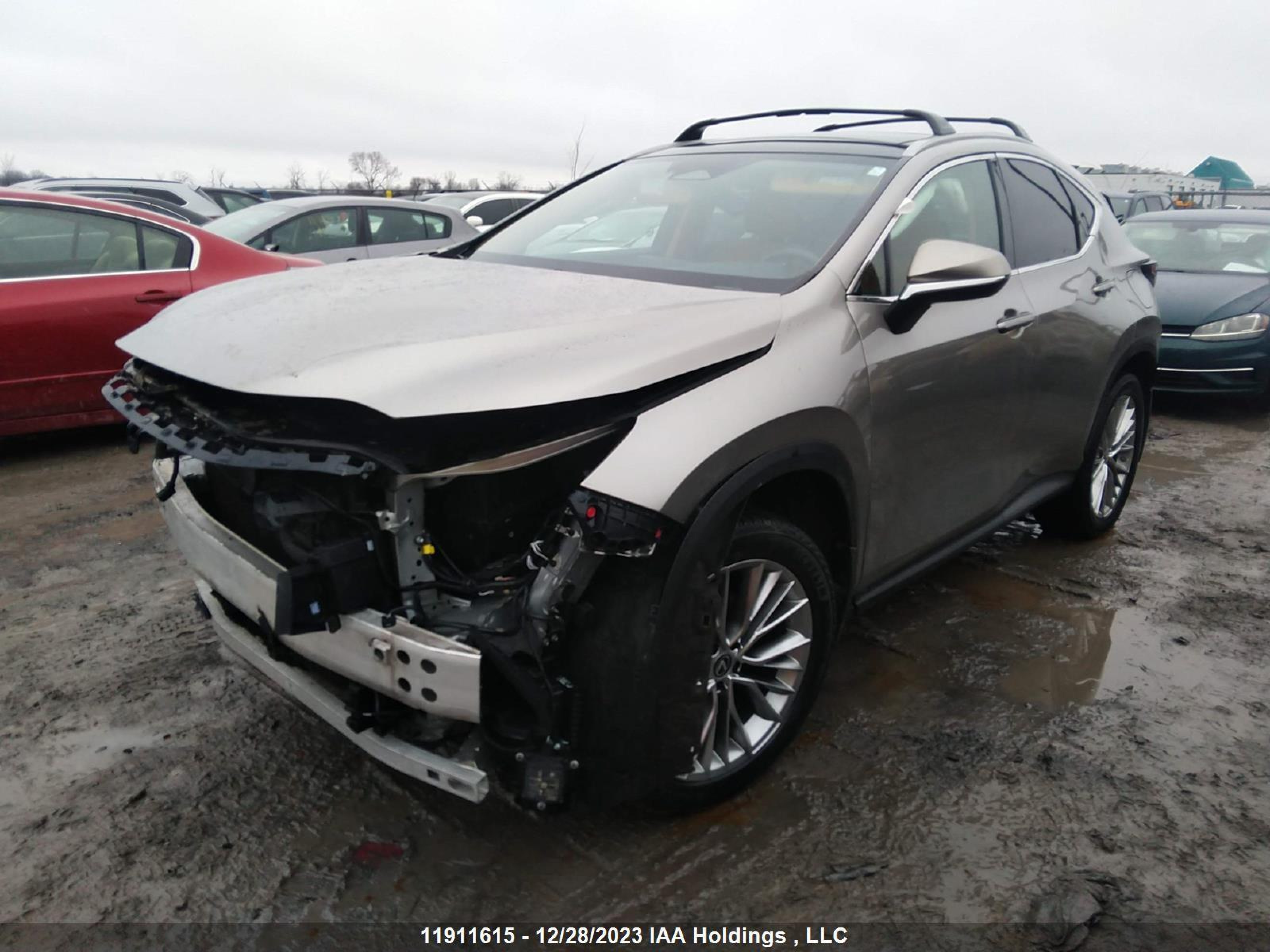 Photo 1 VIN: 2T2GKCEZXPC011178 - LEXUS NX 