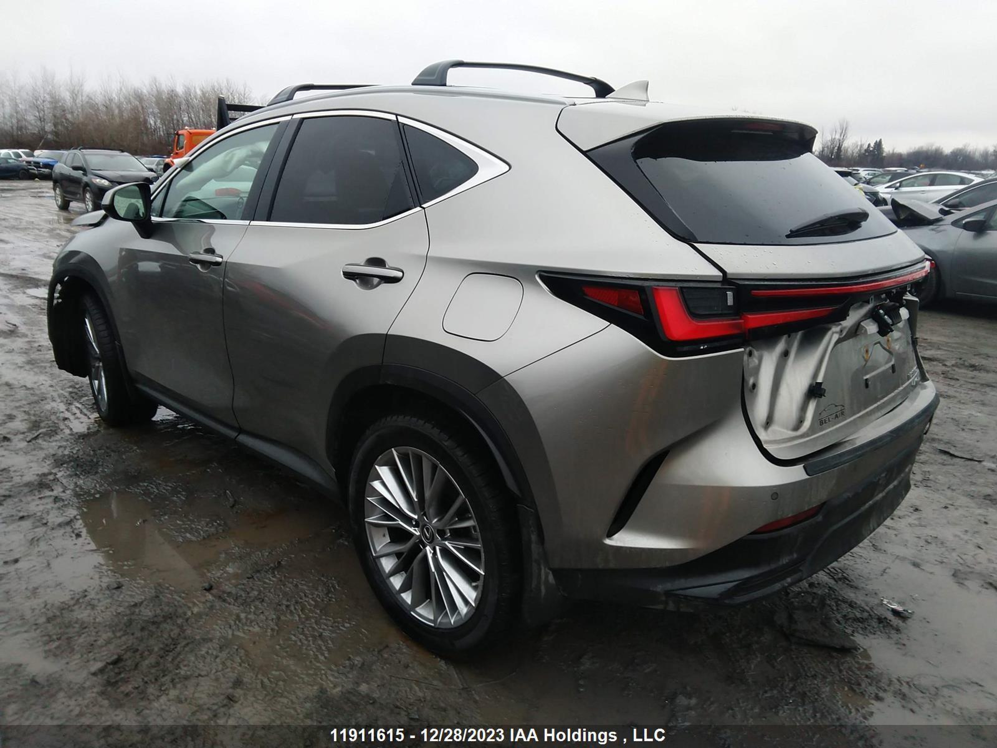 Photo 2 VIN: 2T2GKCEZXPC011178 - LEXUS NX 