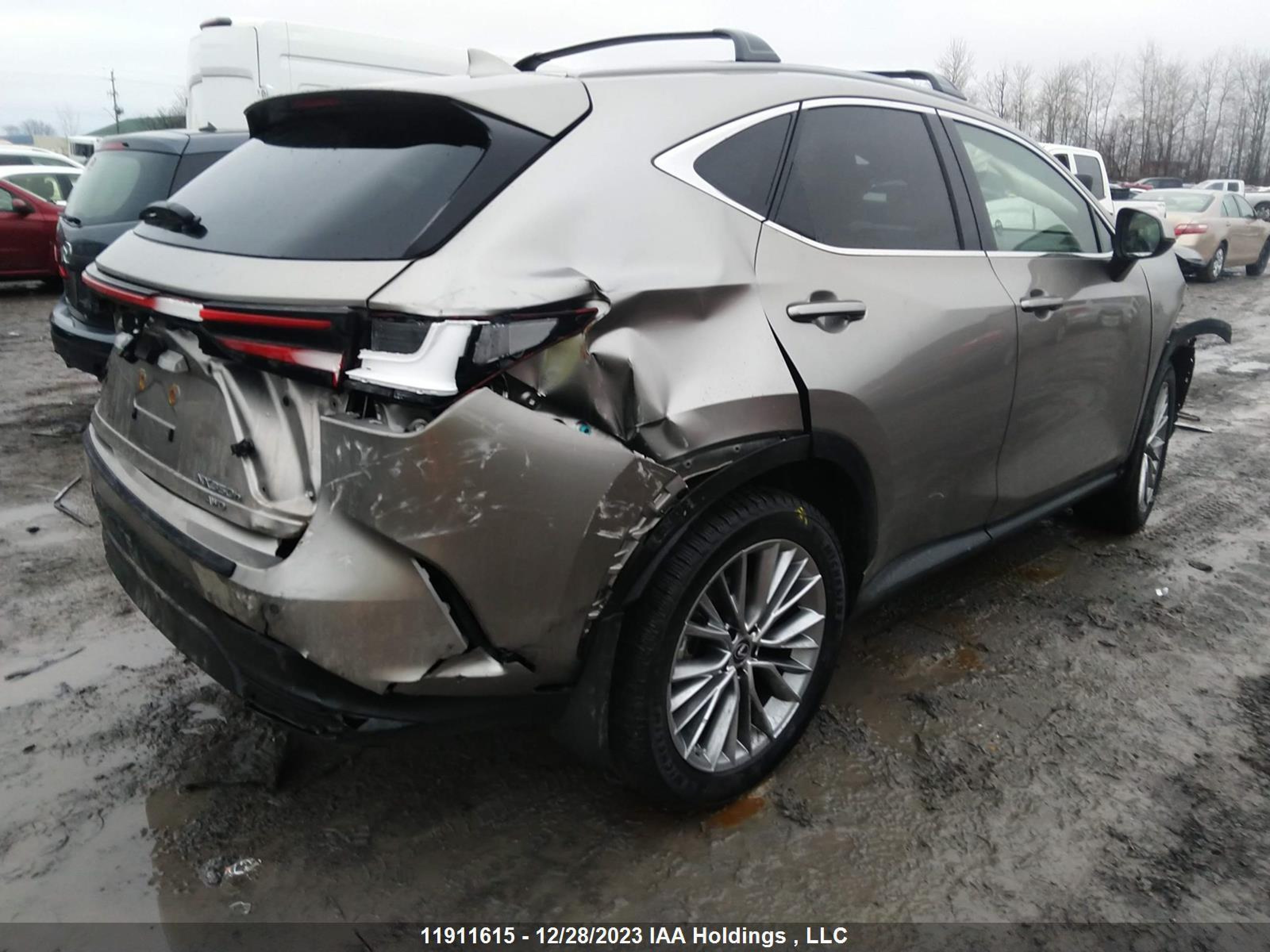 Photo 3 VIN: 2T2GKCEZXPC011178 - LEXUS NX 