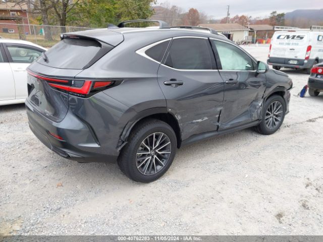 Photo 3 VIN: 2T2GKCEZXRC024645 - LEXUS NX 