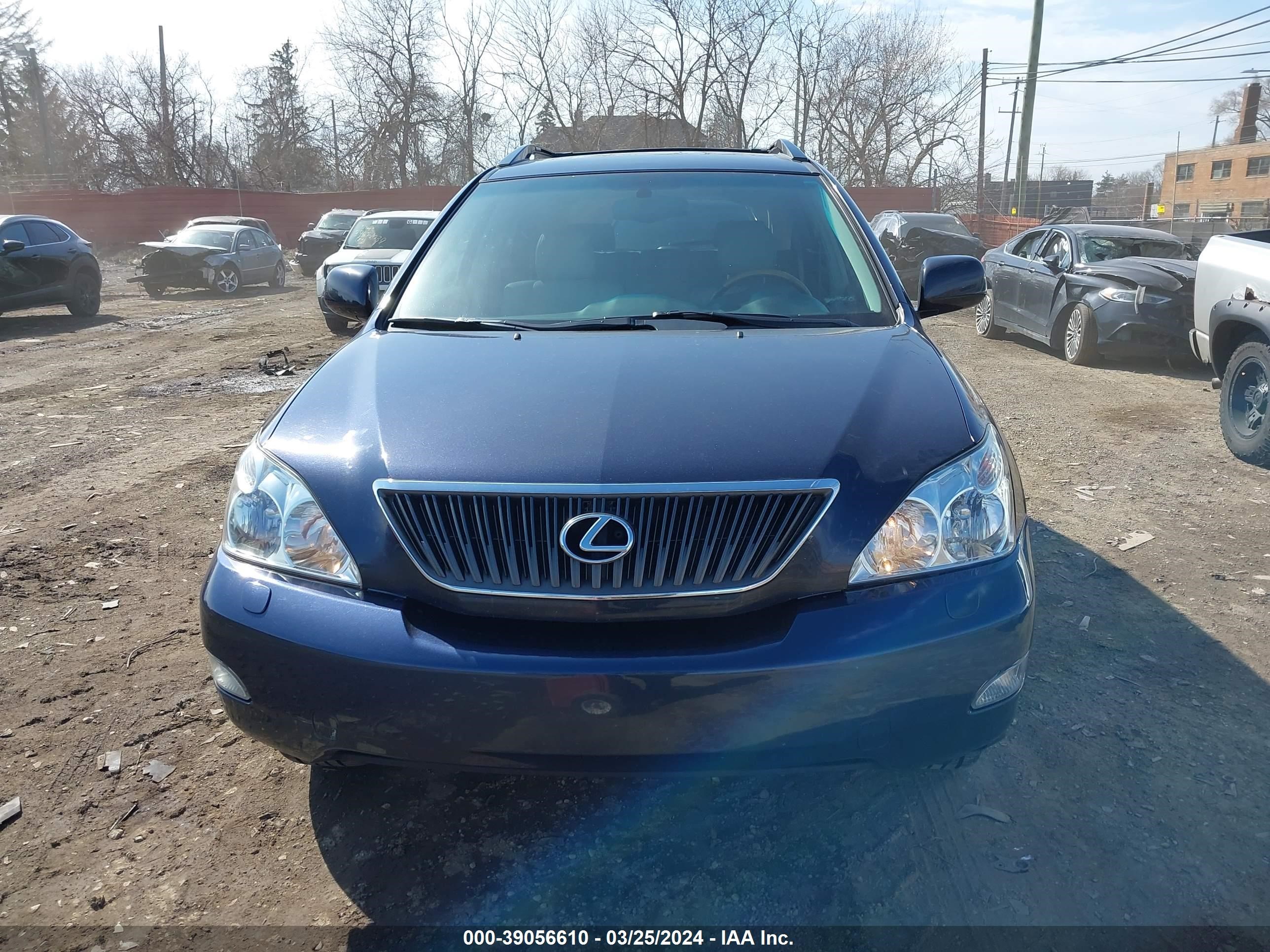 Photo 11 VIN: 2T2HA31U16C088182 - LEXUS RX 