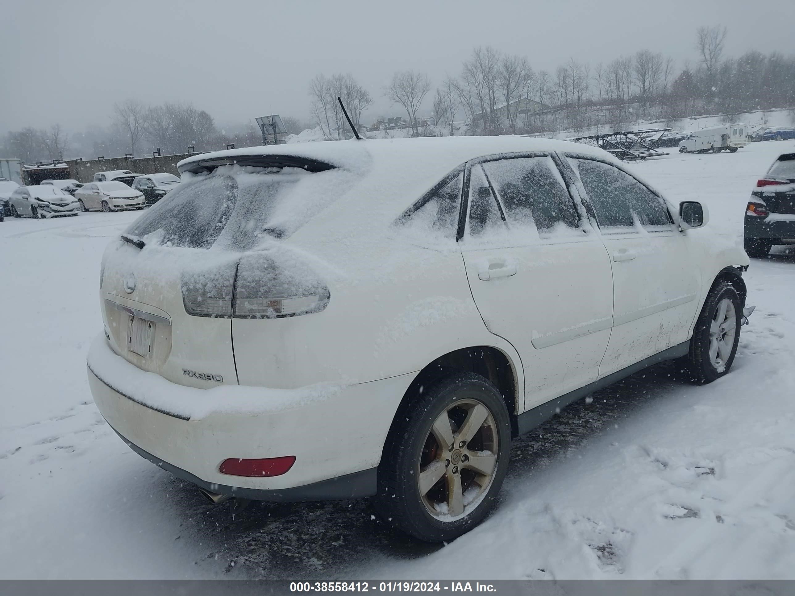 Photo 3 VIN: 2T2HA31U85C048261 - LEXUS RX 