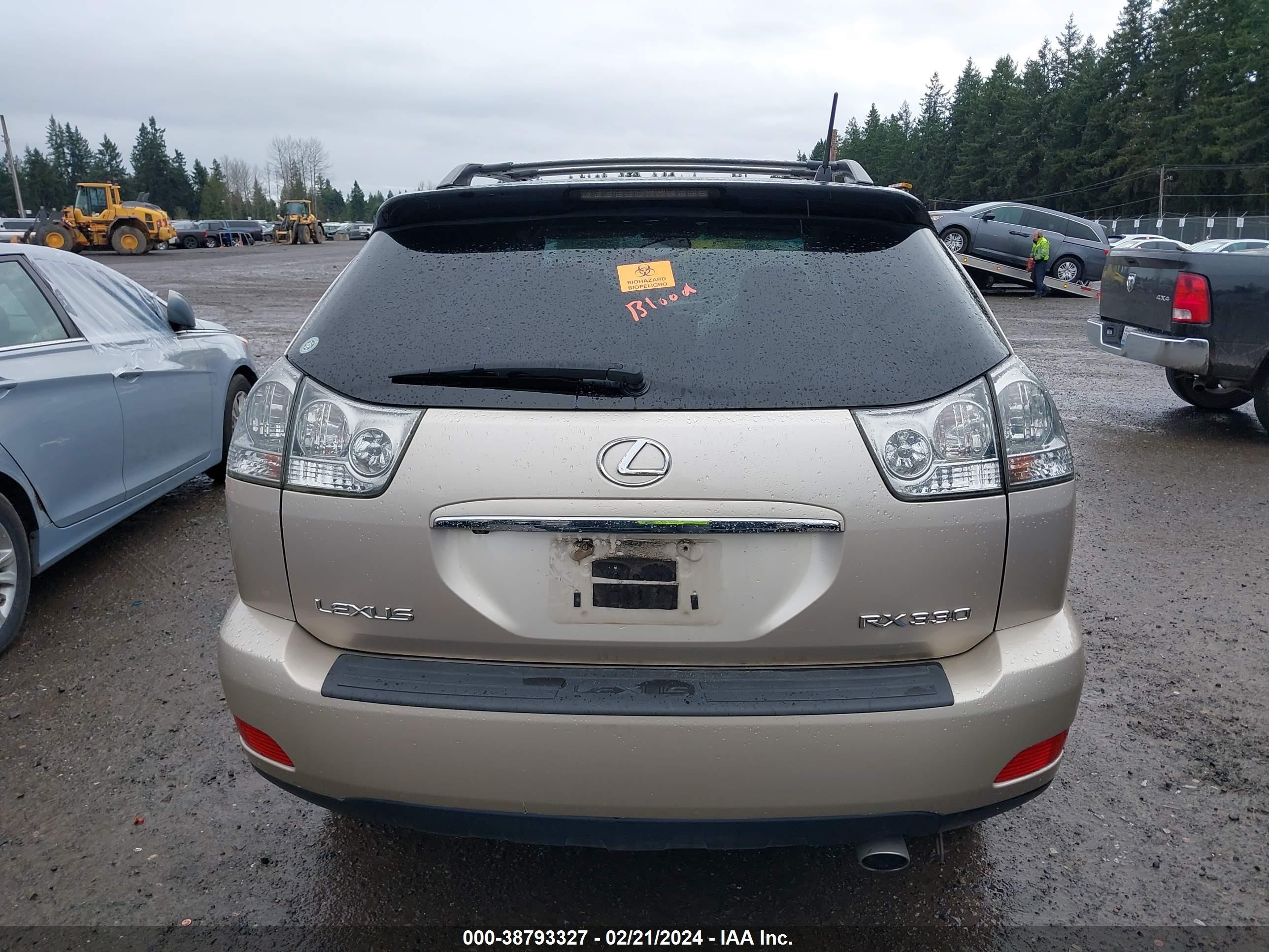 Photo 15 VIN: 2T2HA31U95C068955 - LEXUS RX 