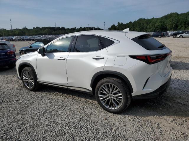 Photo 1 VIN: 2T2HGCEZ0RC032775 - LEXUS NX 350 LUX 