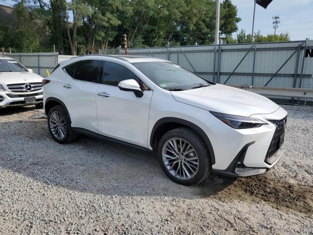 Photo 3 VIN: 2T2HGCEZ0RC032775 - LEXUS NX 350 LUX 