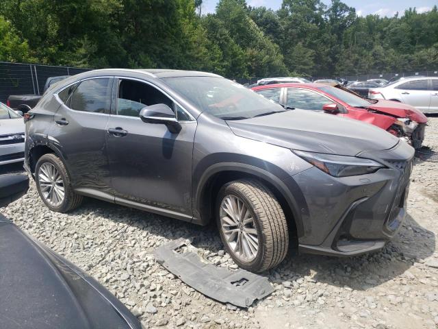 Photo 3 VIN: 2T2HGCEZ2SC060566 - LEXUS NX 350 LUX 