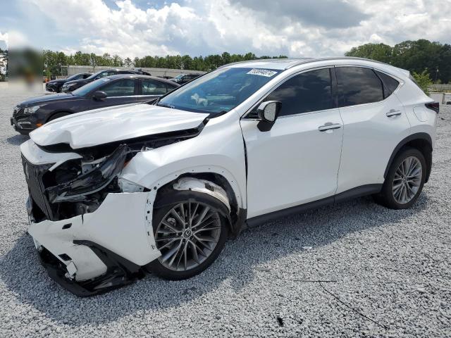 Photo 0 VIN: 2T2HGCEZ3RC032396 - LEXUS NX 350 LUX 