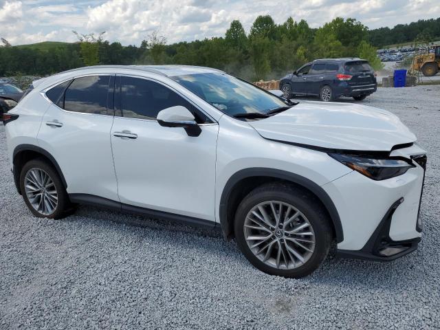 Photo 3 VIN: 2T2HGCEZ3RC032396 - LEXUS NX 350 LUX 