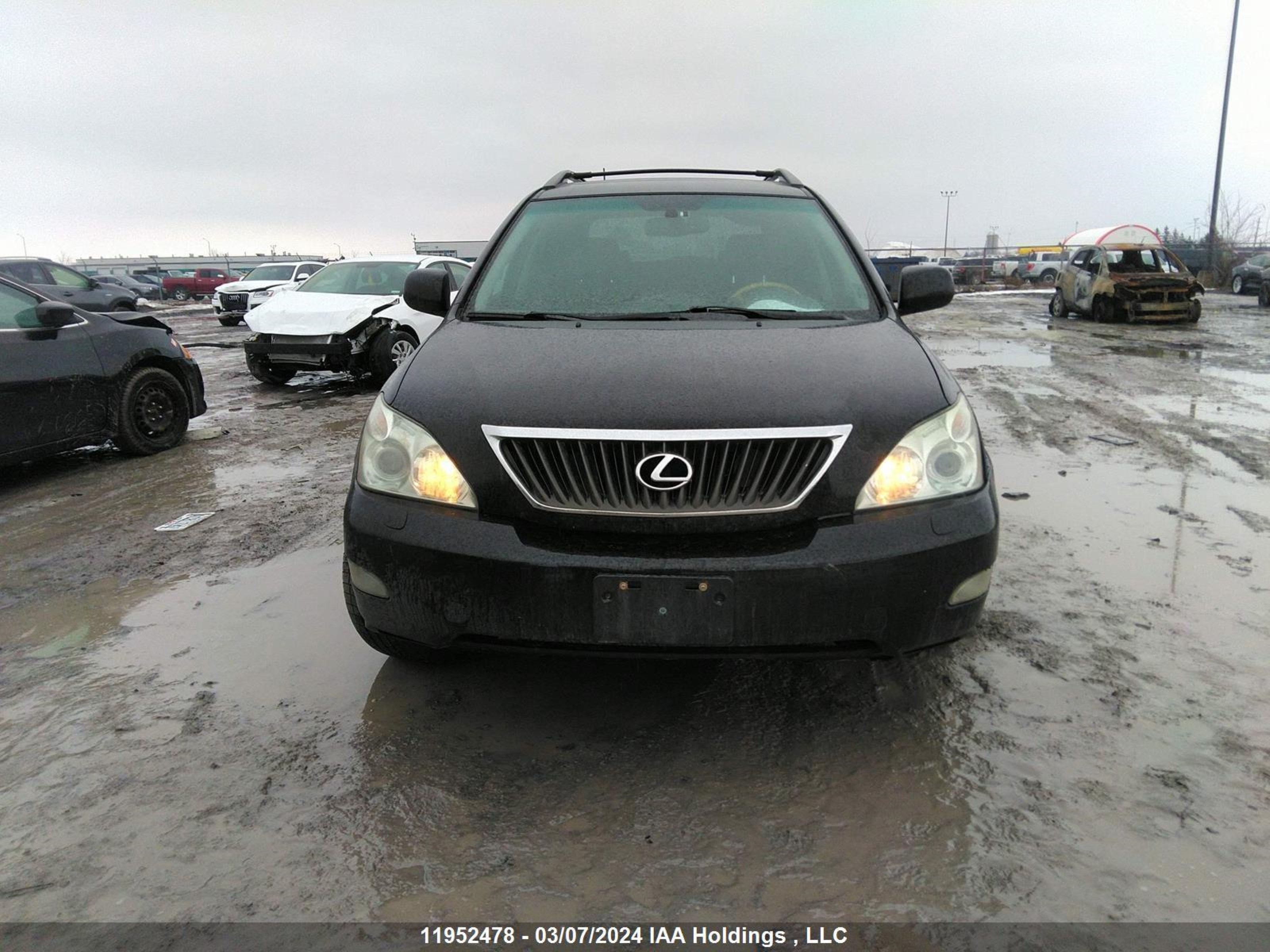 Photo 11 VIN: 2T2HK31U19C106164 - LEXUS RX 