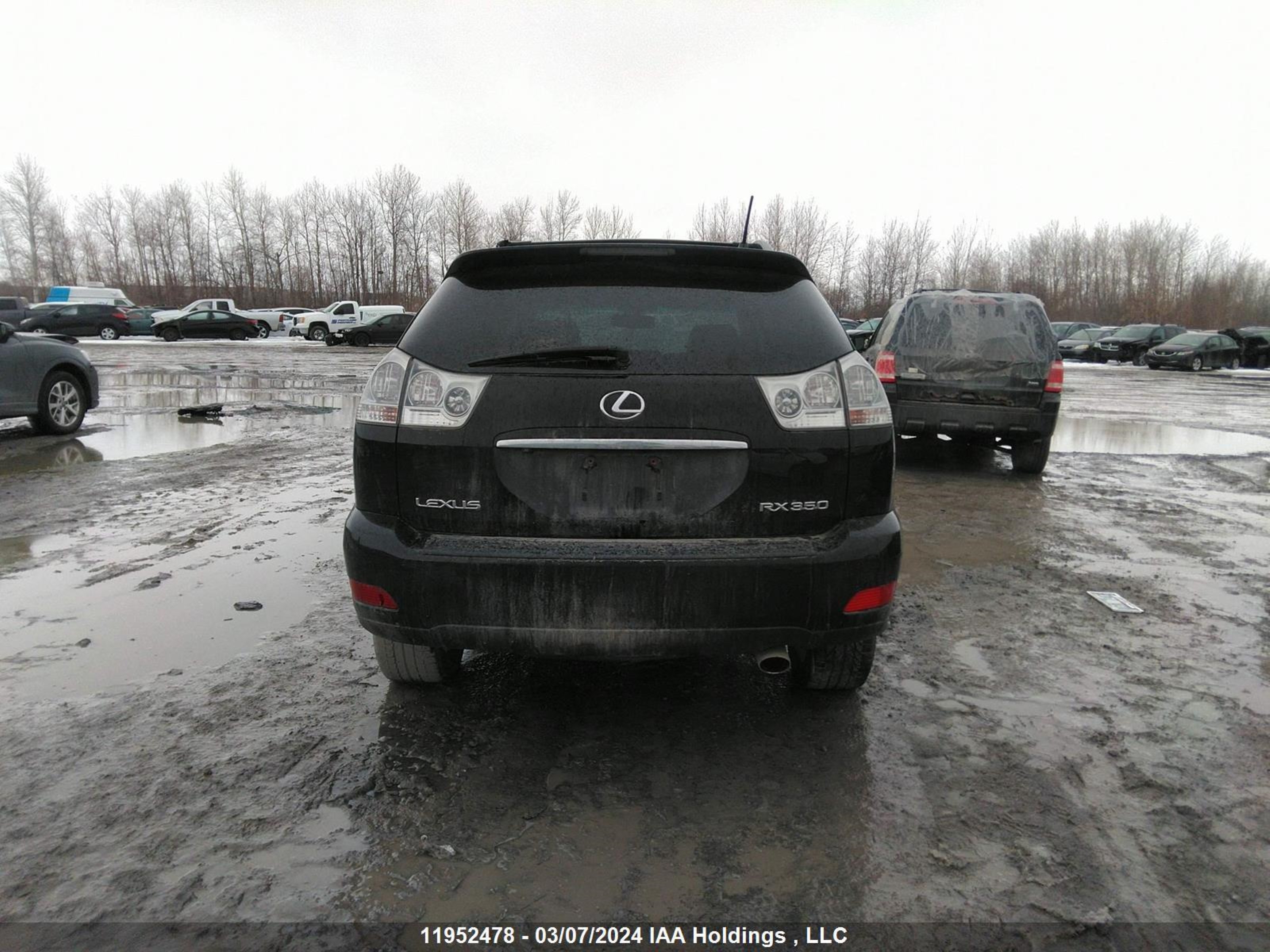 Photo 15 VIN: 2T2HK31U19C106164 - LEXUS RX 