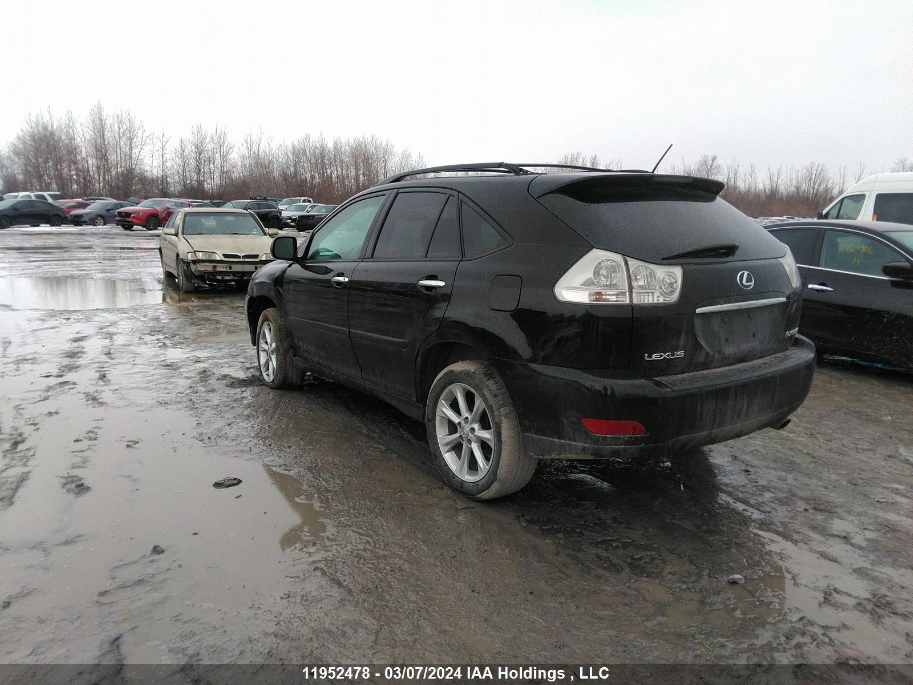 Photo 2 VIN: 2T2HK31U19C106164 - LEXUS RX 